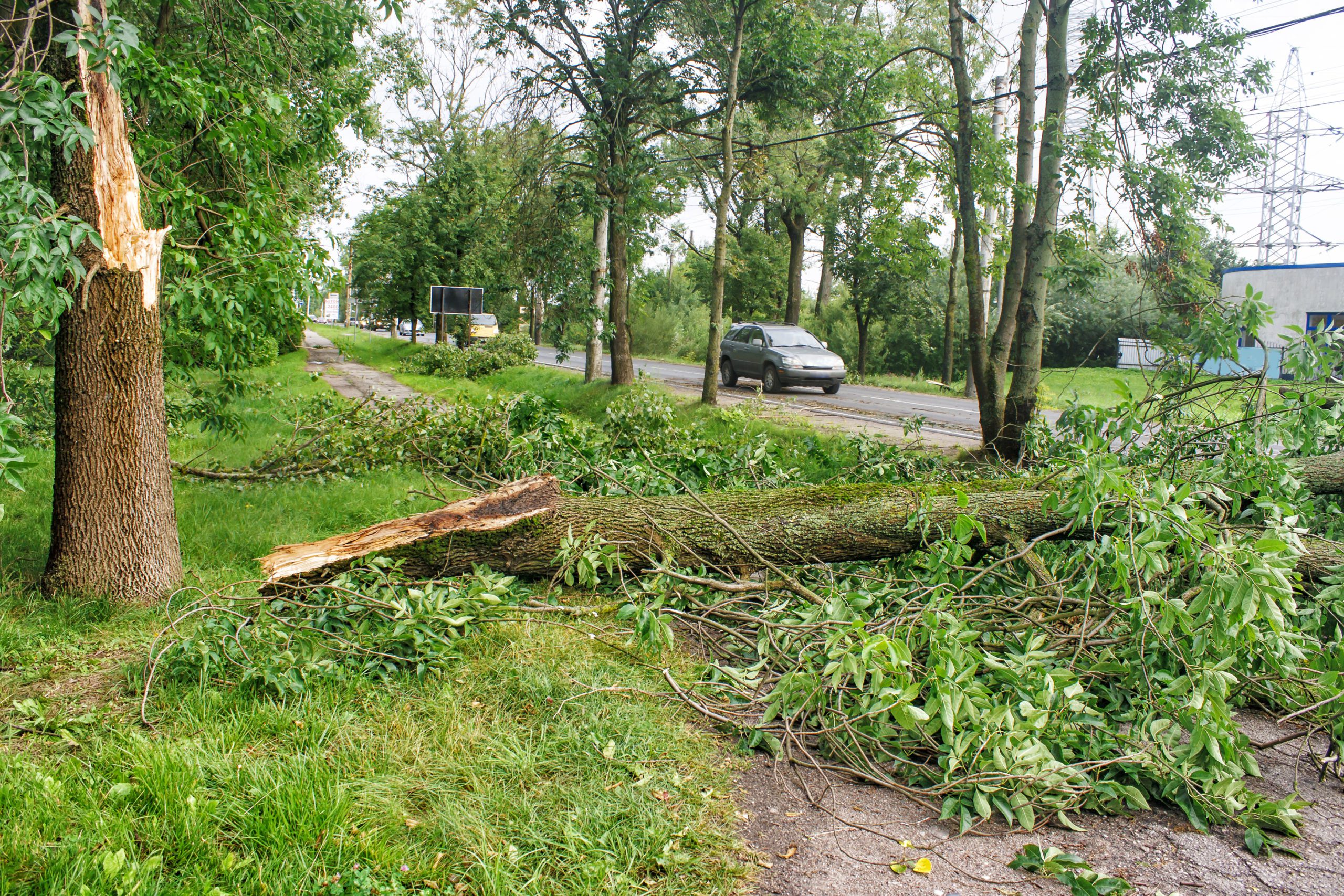 broken roads in storm broken roads in storm